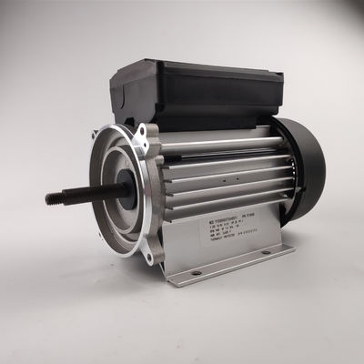 Động cơ máy bơm nước điện 300-700W một pha 3000 vòng / phút cho máy bơm spa và bồn tắm