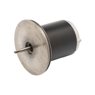 83ZYT 110-220V 300w Động cơ nam châm vĩnh cửu Micro DC cho máy bóng tennis